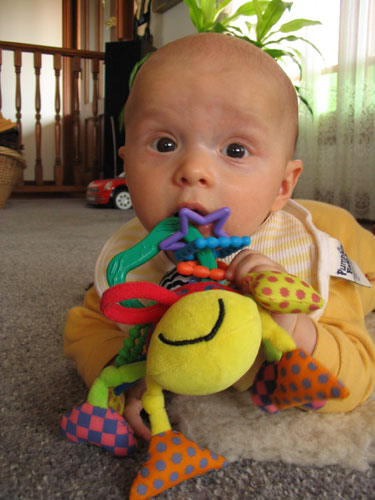 Tummy Time (20 weeks)