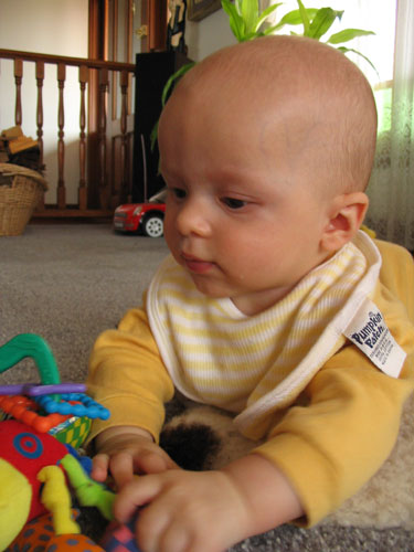 Tummy Time (20 weeks)