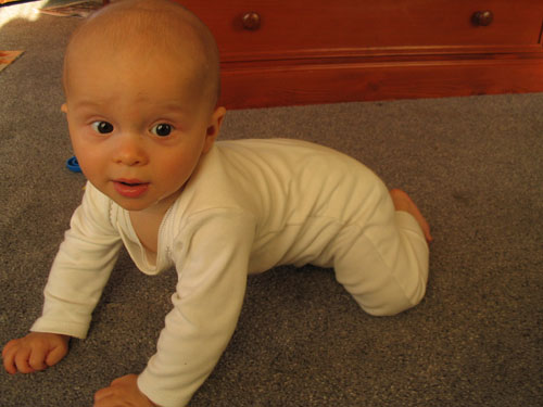 Nearly crawling - up on all fours (6 months 1 week old)