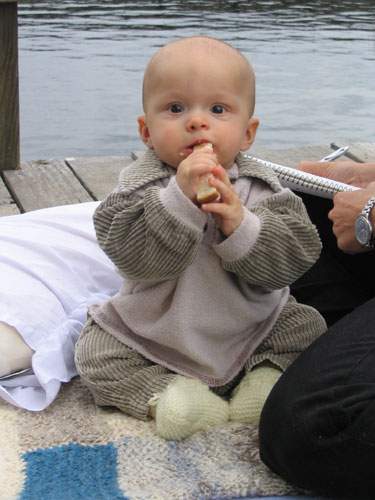 Lunchtime at Nelligen (6.5 months old)