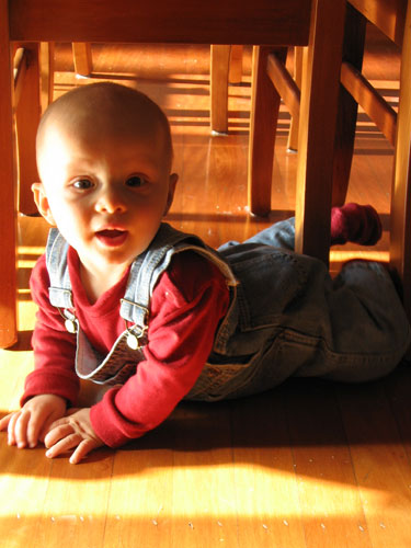 Sliding on the Timber Floors (7.5 months old)