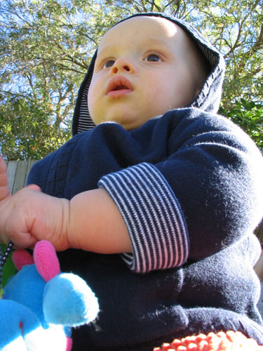 Picnic in the Park (7.5 months old)