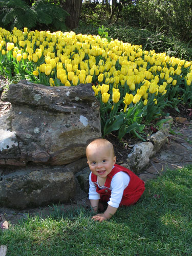 Moss Vale Park (10.5 months old)