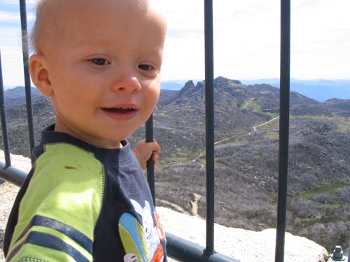 On top of Mt Buffalo (12.5 months old)