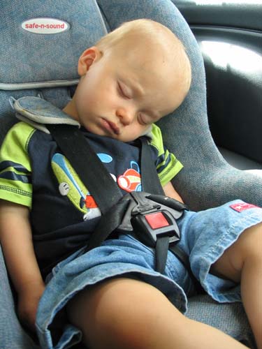 Asleep in the car (12.5 months)