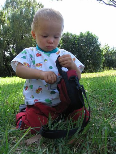 Playing in the Park