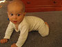Nearly crawling - up on all fours (6 months 1 week old)
