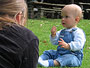 Eating clover flowers (9.75 months old)