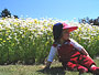 At Mt Annan Botanical Garden (10.5 months old)