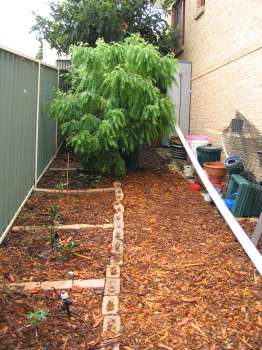 Side of House - Inside yard (January 2006)