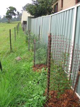 Side of House - Outside yard (January 2006)