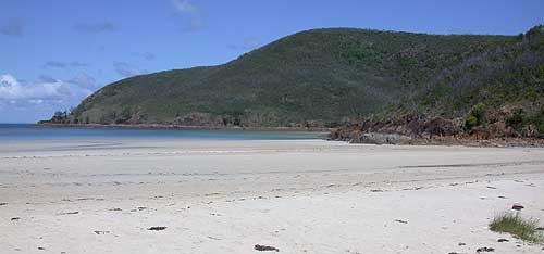 Sheltered swimming abounds at Basil Bay