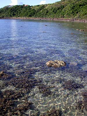 Just one of the snorkling spots